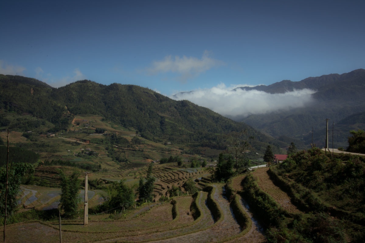 blue sky over the rice terraces